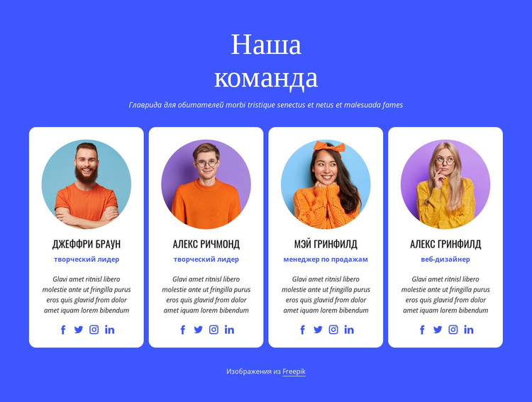 Наша профессиональная команда WordPress тема