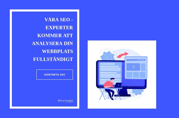 Våra seo -experter WordPress -tema