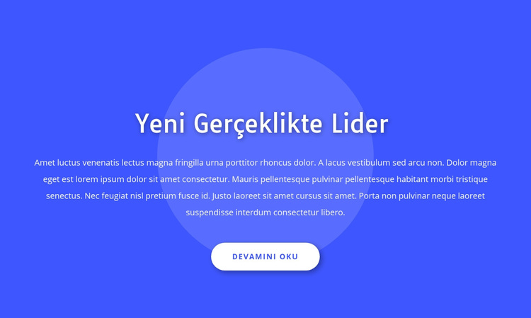 Yeni gerçeklikte lider WordPress Teması