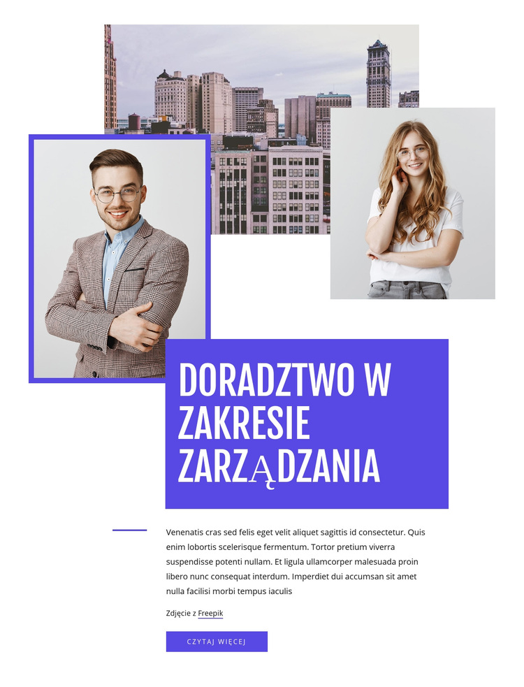 Wyniki przesiewu Motyw WordPress