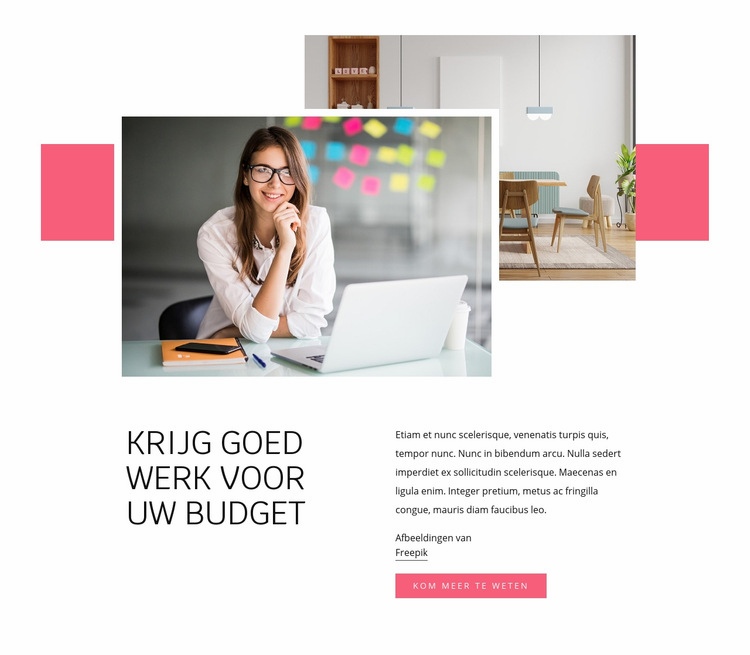 Binnenlandse hulp Website mockup