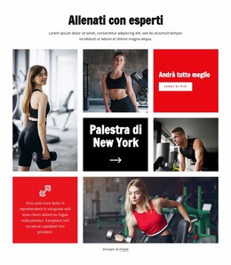 Allenati Con Esperti - Modello Joomla Semplice