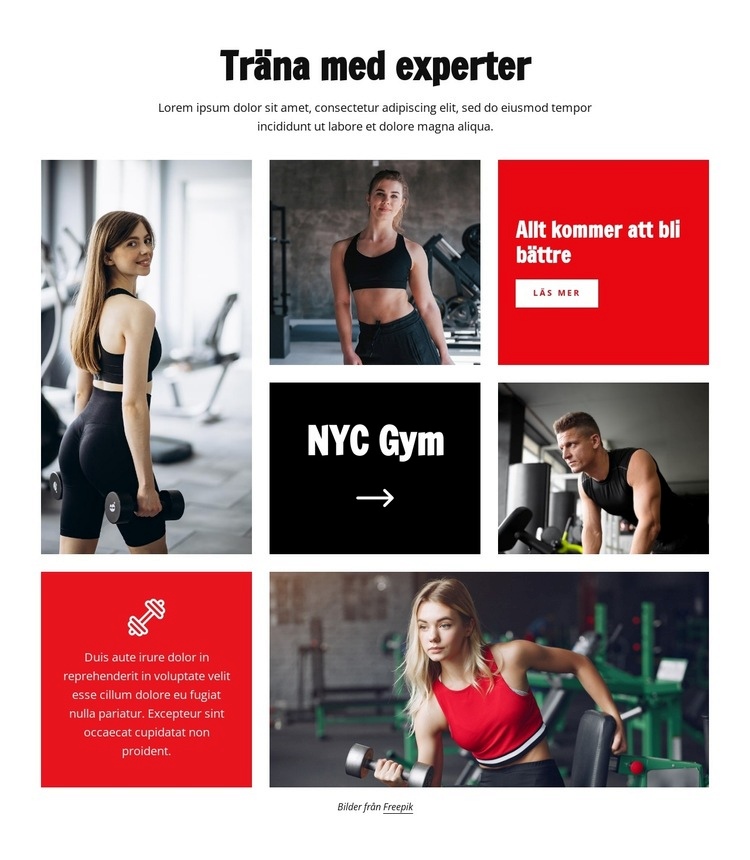 Träna med experter CSS -mall