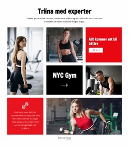 Träna Med Experter - Gratis HTML-Mall