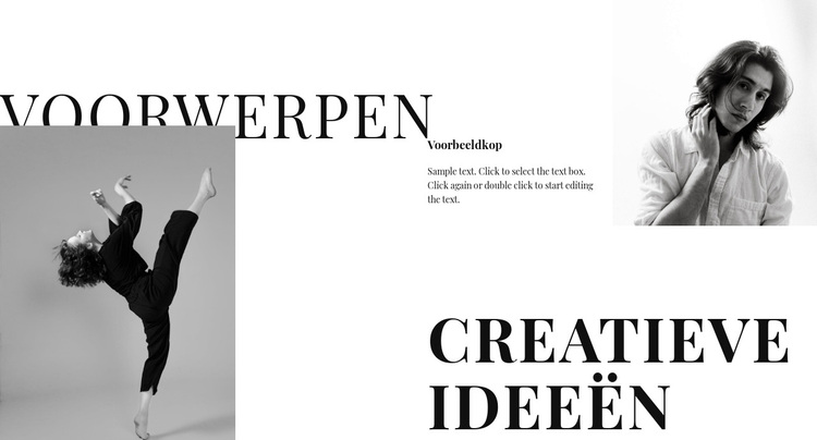 Interessante ontwerpoplossingen WordPress-thema