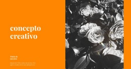 Mejor Sitio Web Para Soluciones Inusuales