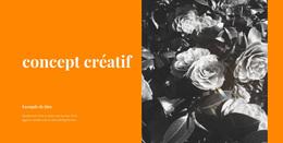 Des Solutions Inhabituelles – Thème WordPress Facile À Utiliser