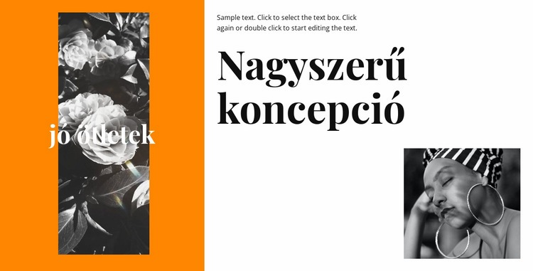 Nagyszerű koncepció WordPress Téma