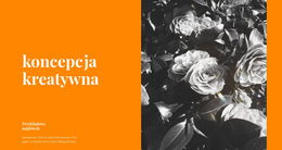Nietypowe Rozwiązania #Wordpress-Themes-Pl-Seo-One-Item-Suffix