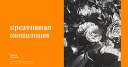 Необычные Решения – Функциональный Шаблон HTML5