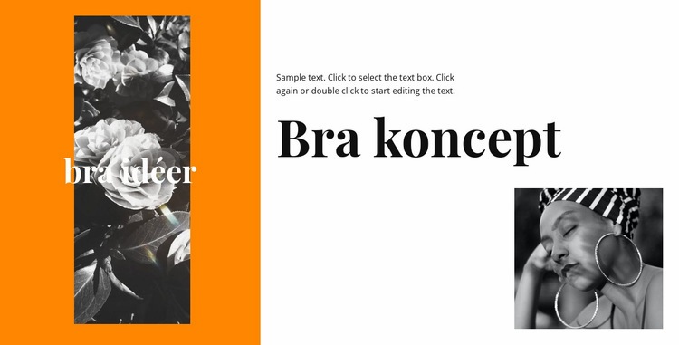 Bra koncept WordPress -tema