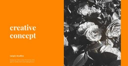 Unusual Solutions Web Page Design