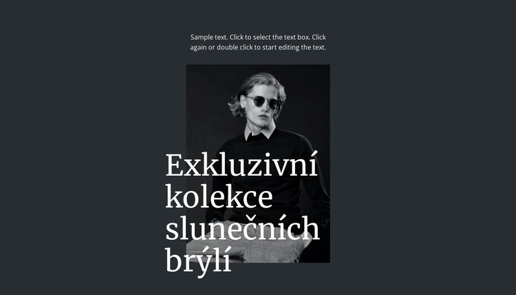 Exkluzivní kolekce slunečních brýlí Šablona HTML
