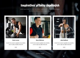 Stáhnout Téma WordPress Pro Inspirativní Příběhy Úspěchu