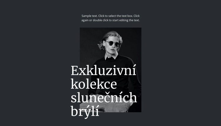 Exkluzivní kolekce slunečních brýlí Webový design