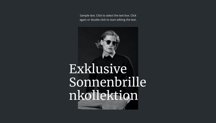 Exklusive Sonnenbrillenkollektion Website-Modell