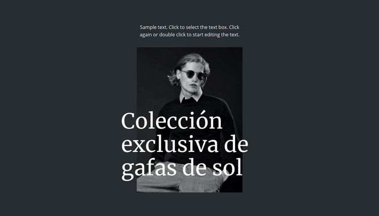 Colección exclusiva de gafas de sol Plantillas de creación de sitios web