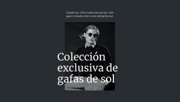 Colección Exclusiva De Gafas De Sol - Diseño Web Polivalente