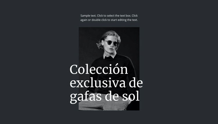 Colección exclusiva de gafas de sol Maqueta de sitio web