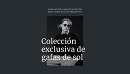 Colección Exclusiva De Gafas De Sol - Página De Destino Personalizada