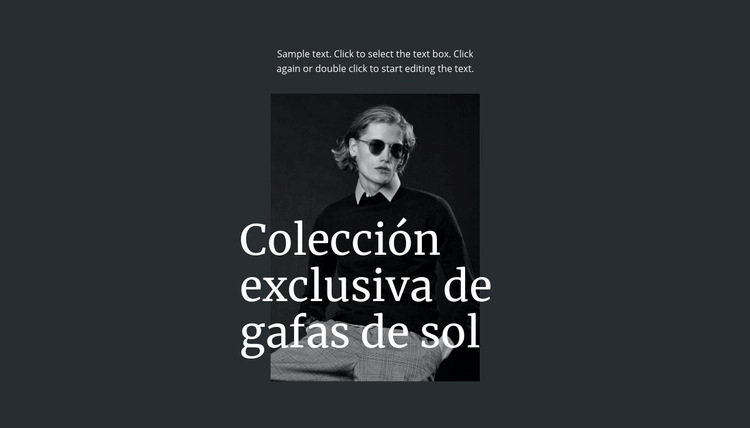 Colección exclusiva de gafas de sol Página de destino