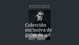 Colección Exclusiva De Gafas De Sol Descarga Gratuita De Plantilla CSS