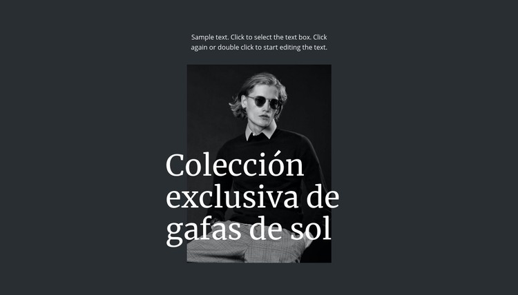 Colección exclusiva de gafas de sol Plantilla CSS