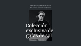 Colección Exclusiva De Gafas De Sol: Plantilla Web Moderna