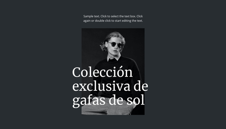 Colección exclusiva de gafas de sol Plantilla HTML