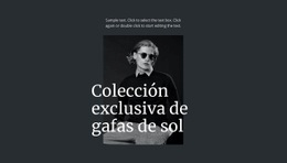 Colección Exclusiva De Gafas De Sol: Plantilla HTML5 Adaptable