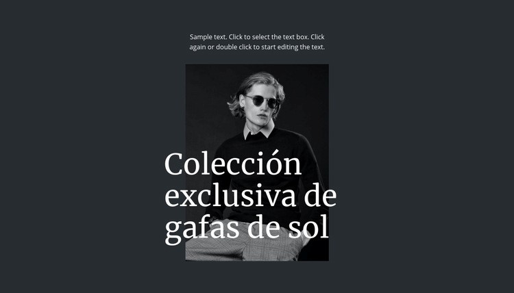 Colección exclusiva de gafas de sol Plantilla HTML5