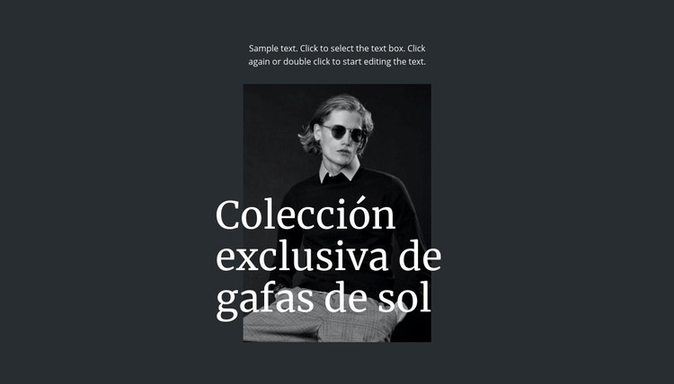 Colección exclusiva de gafas de sol Plantilla de una página