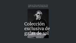 Colección Exclusiva De Gafas De Sol - Plantillas De Temas Html5 Gratuitas