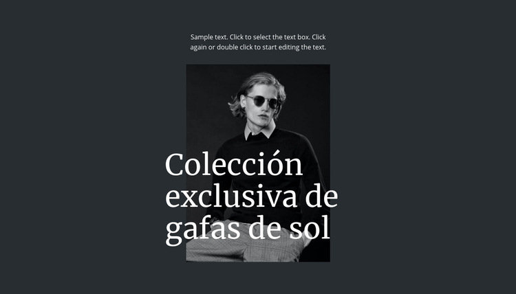 Colección exclusiva de gafas de sol Plantilla de sitio web
