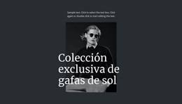 Colección Exclusiva De Gafas De Sol - Tema De WordPress