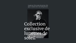 Collection Exclusive De Lunettes De Soleil - Conception Web Polyvalente