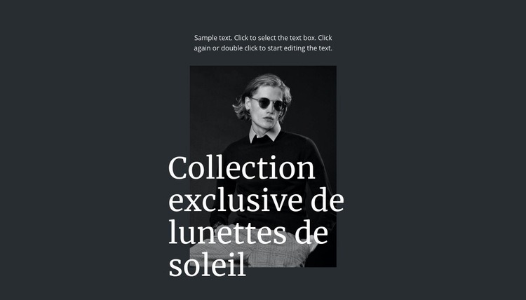 Collection exclusive de lunettes de soleil Conception de site Web