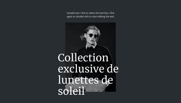 Collection exclusive de lunettes de soleil Maquette de site Web