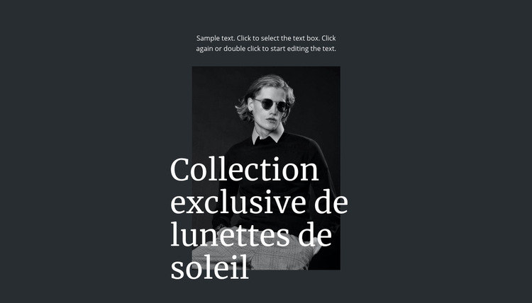 Collection exclusive de lunettes de soleil Modèle de site Web