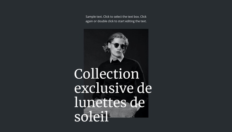 Collection exclusive de lunettes de soleil Page de destination