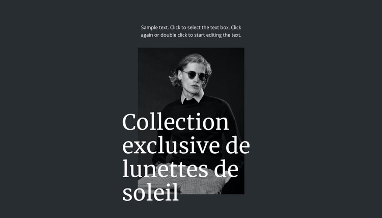 Collection exclusive de lunettes de soleil Thème WordPress