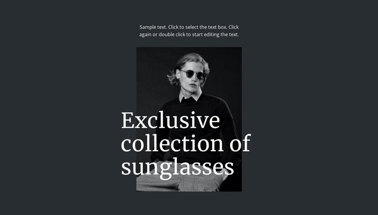 Exclusive collection of sunglasses Homepage Design