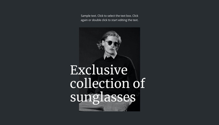 Exclusive collection of sunglasses Html Code Example