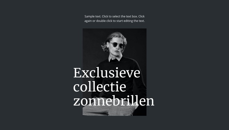 Exclusieve collectie zonnebrillen CSS-sjabloon