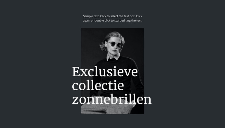 Exclusieve collectie zonnebrillen WordPress-thema