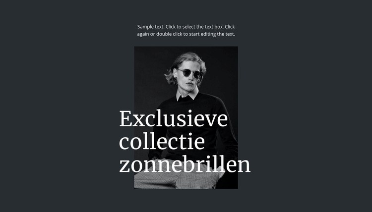 Exclusieve collectie zonnebrillen Website ontwerp