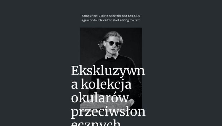 Ekskluzywna kolekcja okularów przeciwsłonecznych Motyw WordPress