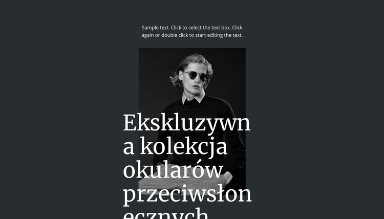 Ekskluzywna kolekcja okularów przeciwsłonecznych Szablon HTML