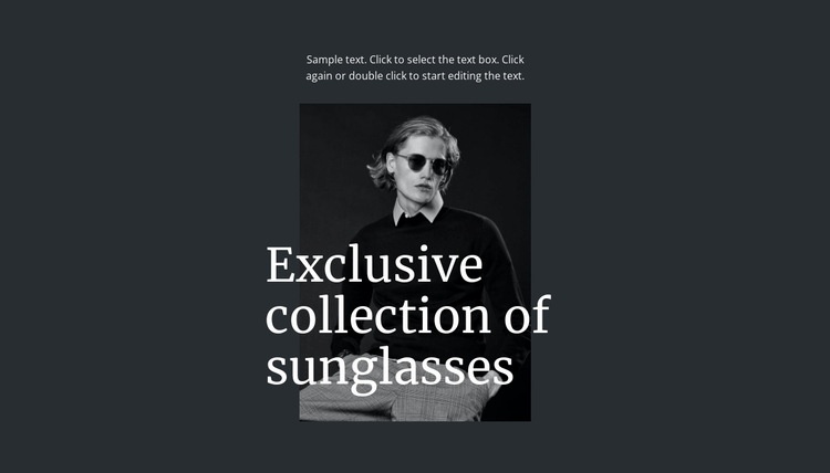 Exclusive collection of sunglasses Squarespace Template Alternative