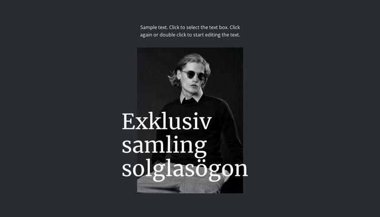 Exklusiv samling solglasögon CSS -mall